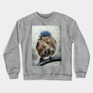 Eastern Bluebird Crewneck Sweatshirt